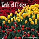 World of Flowers 2008 Wall Calendar