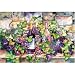 Magic Slice Non-Slip Flexible Cutting Board, Party Size 7.5 x 11, Wine Cellar by Kathleen Parr McKenna