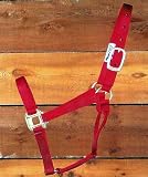 Hamilton Quality 1 Nylon Horse Halter