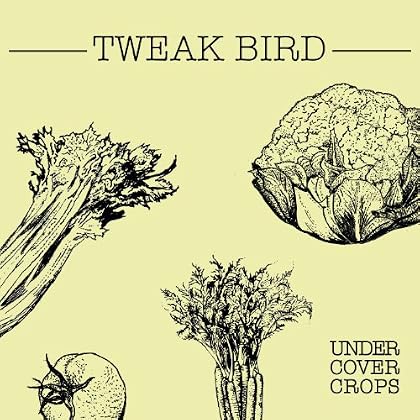 Tweak Bird