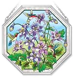 Amia 5906 Window Decor Panel, Columbine and Hummingbird Design, Hand-painted Glass, 15-Inch W by 15-Inch L