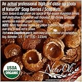 NaturOli Organic Soap Nuts / Soap Berries PIECES/BULK - FIVE POUNDS (1000+ Loads) Seedless USDA Certified - Fresh Wild Harvest - Hypoallergenic, Non-t