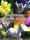 XapVision Nature Scenes DVD