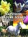 XapVision Nature Scenes DVD