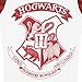 Harry Potter Girls' Harry Potter Pajamas Hogwarts Size 10