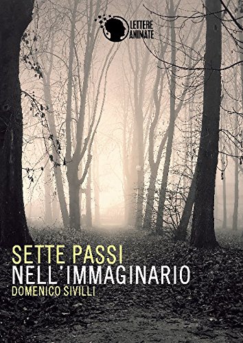 Sette passi nell'immaginario (Italian Edition)