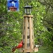 Looker Lighthouse Feeder