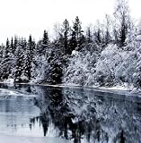 Winter River - 36