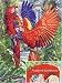 Exotische Farbenpracht, 1000 Teile Puzzle Flokati Line