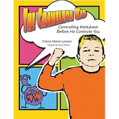 The Chameleon Kid: Controlling Meltdown Before He Controls You