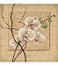 Oriental Orchids Counted Cross Stitch Kit-12x12