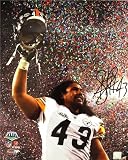 Troy Polamalu Autographed/Hand Signed Pittsburgh Steelers 16x20 Photo