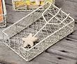 White Starfish Guest Napkin Holder [Kitchen]