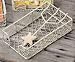 White Starfish Guest Napkin Holder