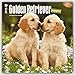 Golden Retriever Puppies 2016 Calendar