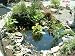 How to Make Your Own Backyard Pond