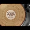 The video for "All That I Am Now" (featuring Richie Havens) from the new AOD Album: "Some Assembly Required". 