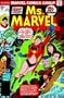 Essential Ms. Marvel, Vol. 1 (Marvel Essentials) (v. 1)