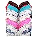 Youmita Lace Edge 6 Pack B,c, D and Dd Cup Bra