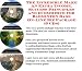 Book The Incredible Make An Extra Income, Success Principles and eCommerce for Badminton Bags On-line Biz Package (3 CDs)