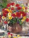Ravensburger Puzzle - Flowers (500 pieces)