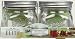 Jarden #1440061180 4PK 16OZ Platinum Jars