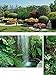 Tropical Gardens of the Philippines