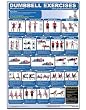 Dumbbell Exercises-Shoulders & Arms Laminated (Poster) Dumbbell Exercises-Shoulders & Arms Laminated (Poster)