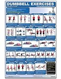 Dumbbell Exercises-Shoulders & Arms Laminated (Poster)