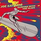 Surfing With the Alien