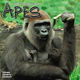 APES GORILLAS 2009 WALL CALENDAR NEW SEALED