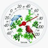 Taylor Precision 6733 Image Gallery Dial Thermometer