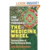 The View Through the Medicine Wheel: Shamanic Maps of How the Universe Works
