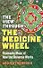 The View Through the Medicine Wheel: Shamanic Maps of How the Universe Works