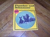 Pinscher und Schnauzer