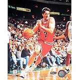 Steiner Chicago Bulls Toni Kukoc Autographed 8X10 Photo