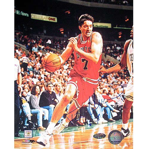 Steiner Chicago Bulls Toni Kukoc Autographed 8X10 Photo