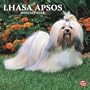 Lhasa Apsos 2010 Square Wall (Multilingual Edition)