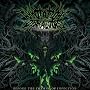 Before the Throne of Infection