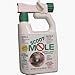 Outdoor Living : QT RTU Scoot Mole