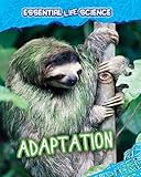 Adaptation