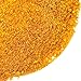 Spice Jungle Aji Amarillo Chile Powder - 4 oz.