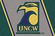North Carolina (Wilmington) Seahawks 5' 4" x 7' 8" Team Spirit Area Rug