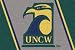 North Carolina (Wilmington) Seahawks 7' 8" x 10' 9" Team Spirit Area Rug