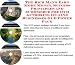 Book The Rich Man's Earn More Money, Success Principles and eCommerce for DVD Authoring On-line Businesses 3 CD Power Pack
