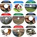 Next Generation Nine CD No Money Down, Millionaire Making Real Estate Investing Course