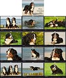 Eigenschaften Das Tierporträt  / Kalender Berner Sennenhunde 2009 A3-Format