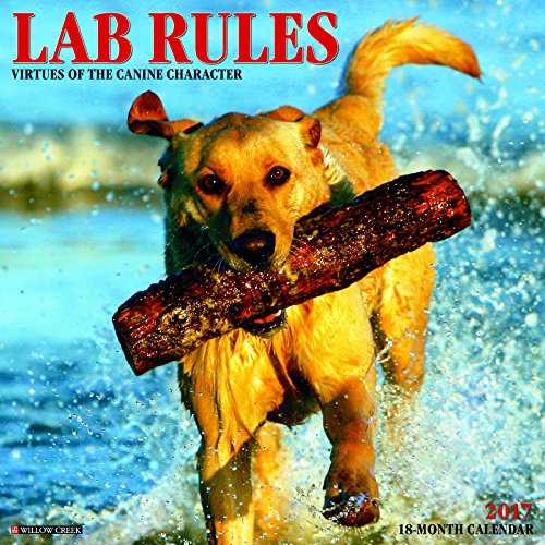 Lab Rules 2017 Wall Calendar