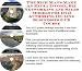 Book The Rich Man's Make An Extra Income, Biz Networking and Sales Models for DVD Authoring On-line Businesses 3 CD Course