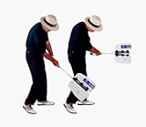 Buy Power Swing Fan